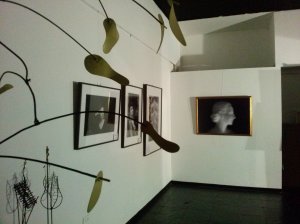 1957933_10205239986988307_1950207656186727803_o